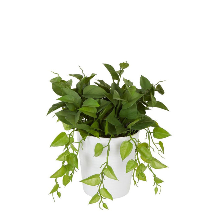Artificial Leaves in White Plastic Pot 35cm Set of 2
