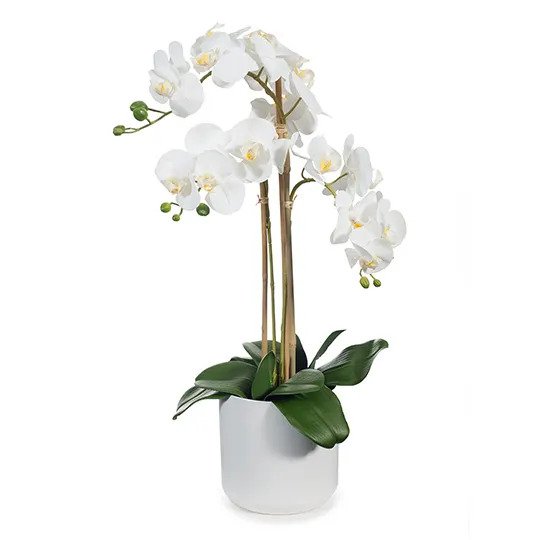 Artificial Orchid Phalaenopsis in Pot - White - 61cm