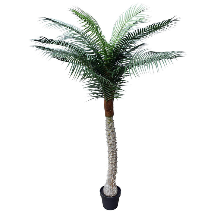 Artificial Tropical Phoenix Potted Palm Tree UV Resistant 190cm