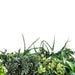 Autumn Greenery Bespoke Vertical Garden / Green Wall UV Resistant 90cm x 90cm