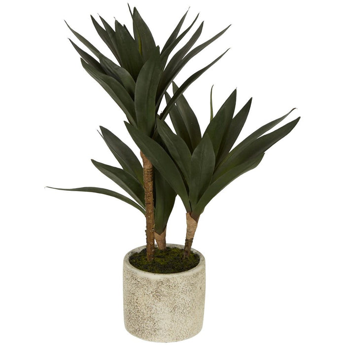 Baby Yucca Plant In Cement Pot 43cm Set of 2