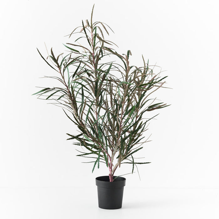 Banksia Leaf Plant Green 135cm