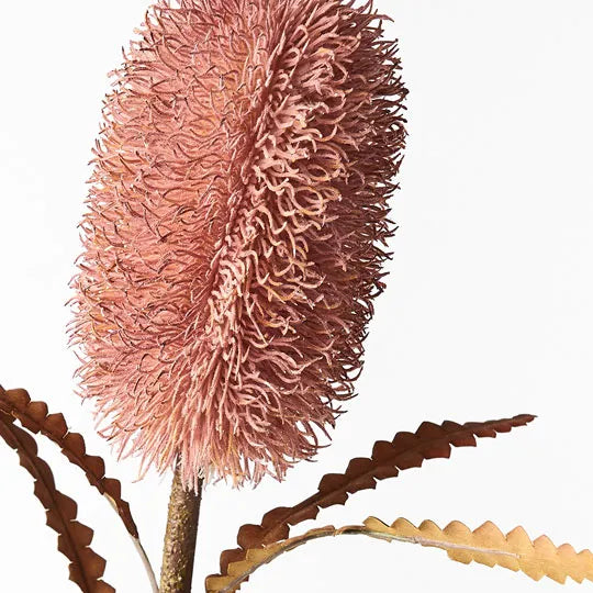 Banksia Serrata Stem 58cm Dusty Pink Pack of 12