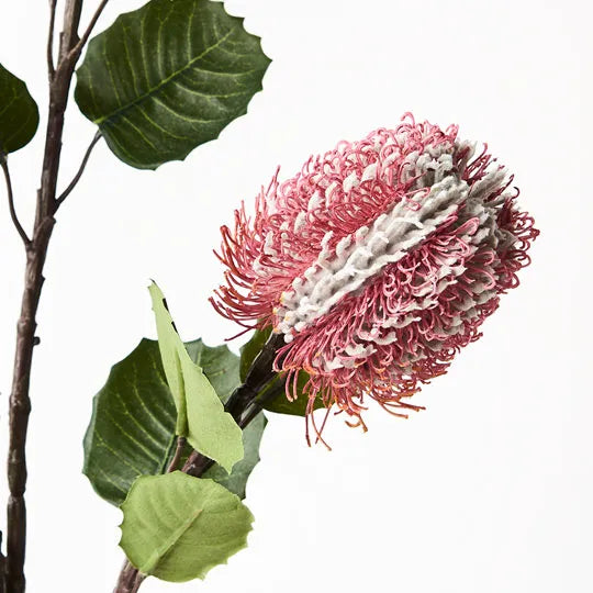 Banksia Spray 71cm Dark Pink Pack of 12