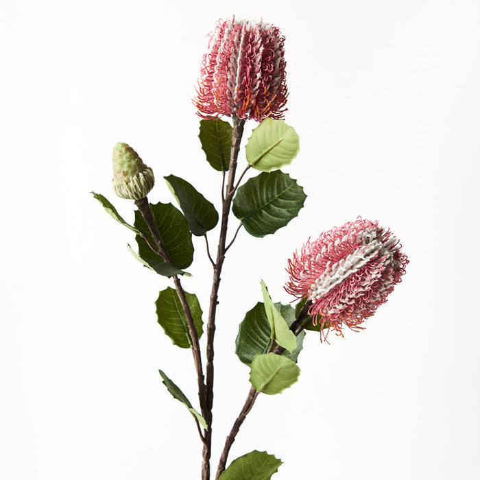 Banksia Spray 71cm Dark Pink Pack of 12