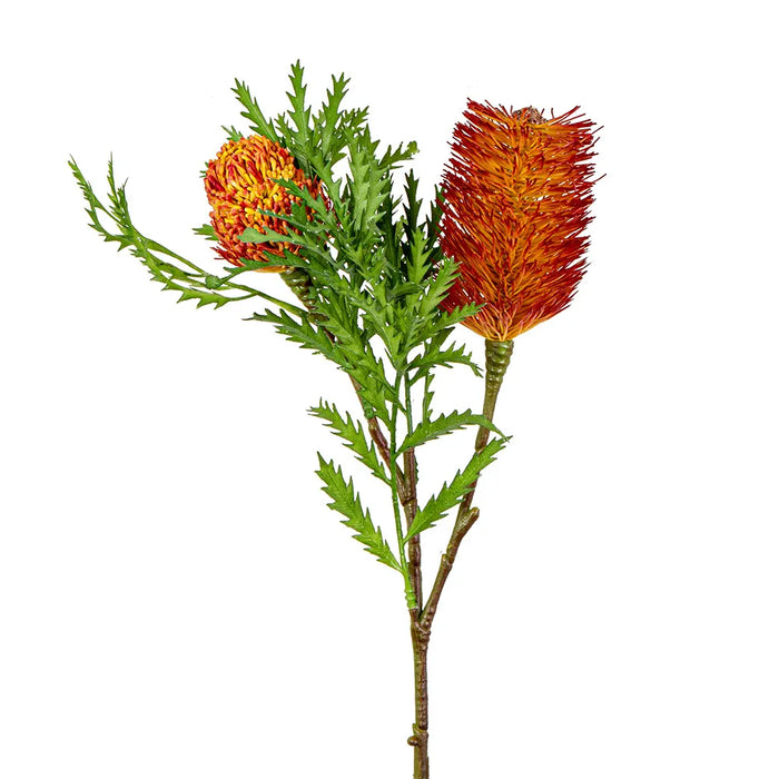 Banksia Spray with Bud & Leaf 80cm Rust Pack of 6