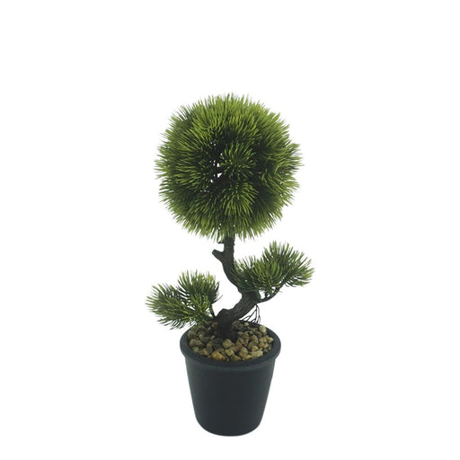 Bonzai Pine Topiary Bush In Black Pot 30cm Pack of 3
