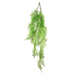 Boston Fern Hanging 110cm Pack of 6