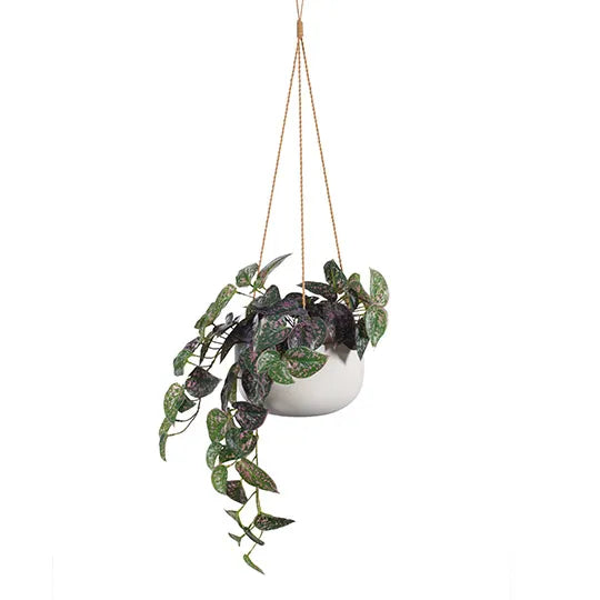 Bowl Flo Hanging Planter White Set of 2