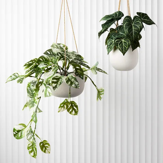 Bowl Flo Hanging Planter White Set of 2