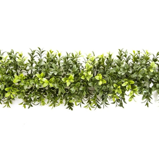 Boxwood Garland 180cm