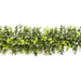 Boxwood Garland 180cm