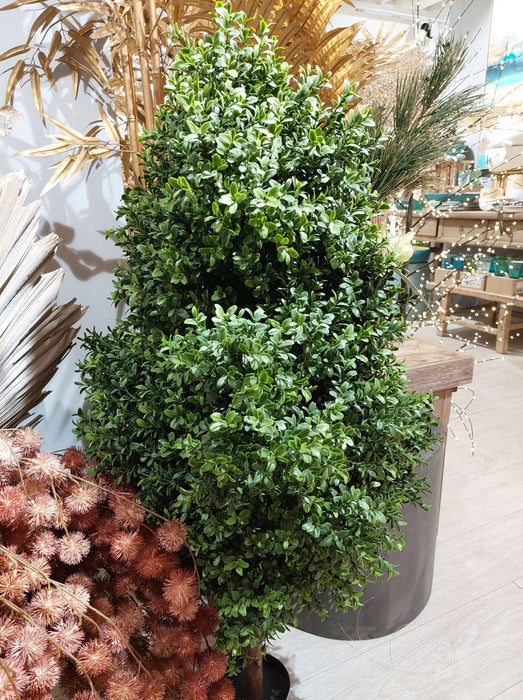 Boxwood Topiary Cone 90cm