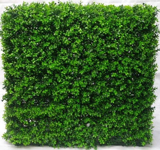 Portable Buxus Hedge UV Resistant 75cm x 75cm