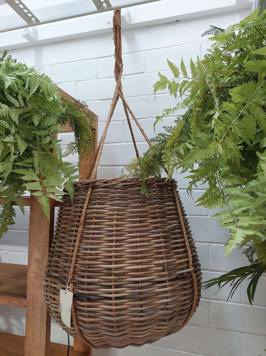 Cancun Hanging Basket Large