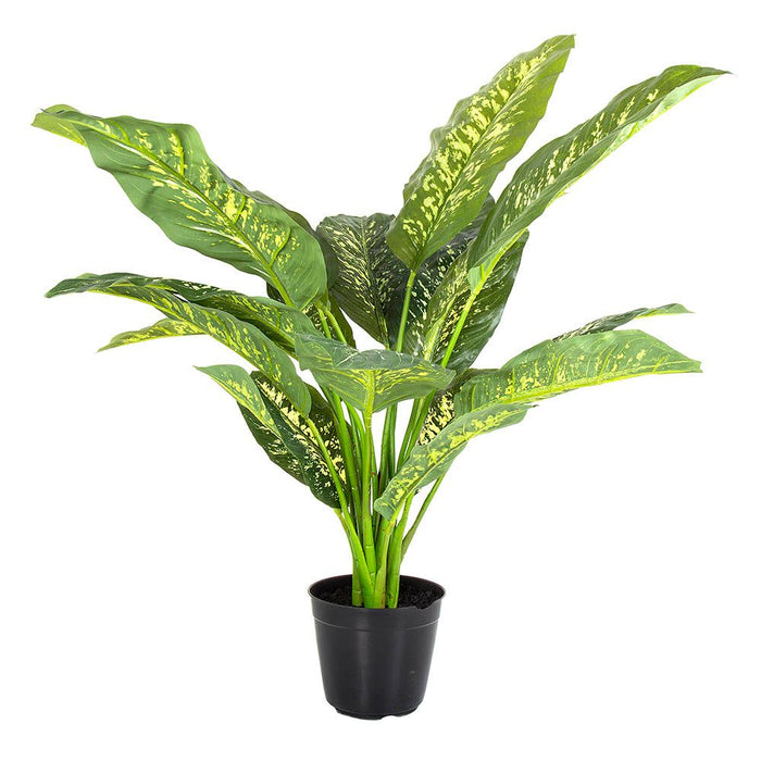 Cane Plant In Pot Real Touch 85cm Set of 2