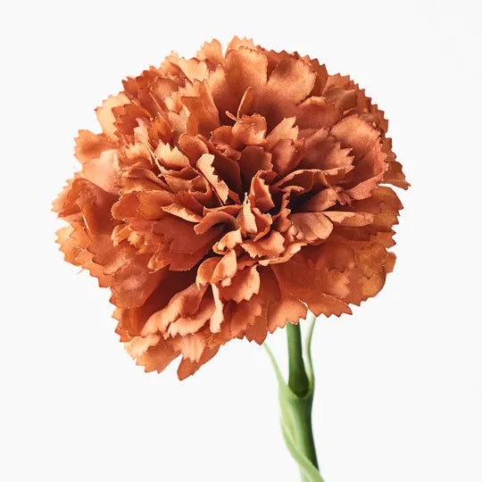 Carnation Stem 47cm Rust Orange Pack of 12