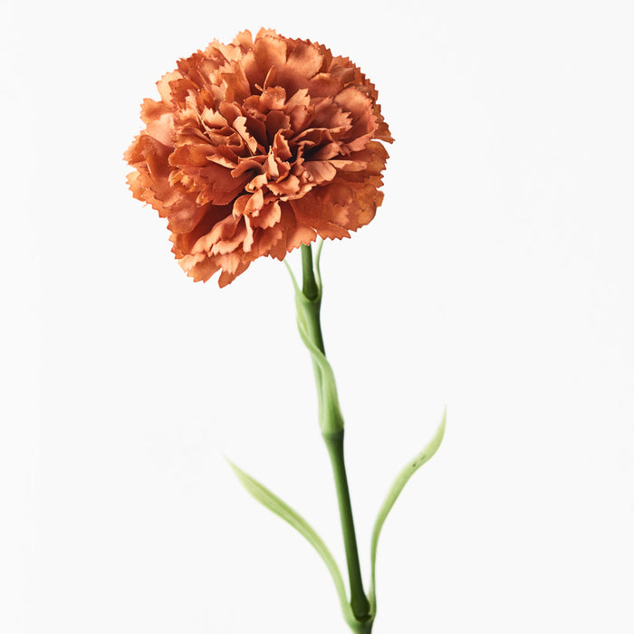 Carnation Stem 47cm Rust Orange Pack of 12