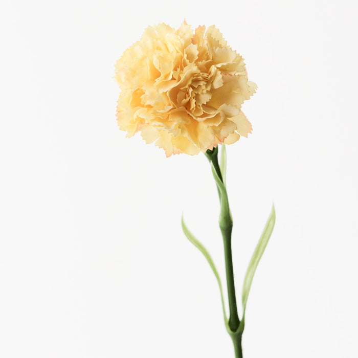 Carnation Stem 47cm Yellow Pack of 12