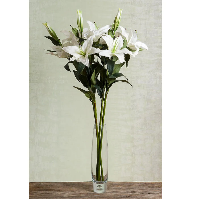 Casablanca Lily Stem White Pack of 6