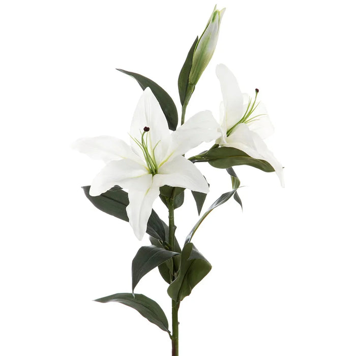 Casablanca Lily Stem White Pack of 6