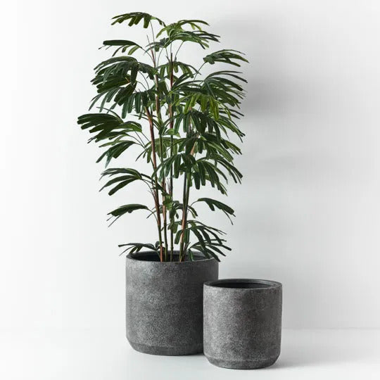 Cenzo Ash Black Pot Pack of Two 50cm