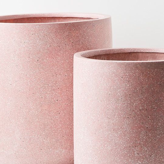 Cenzo Ash Pink Pot Pack of 2 50cm