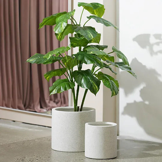 Cenzo Cylinder White Pot 32cm Pack of Three