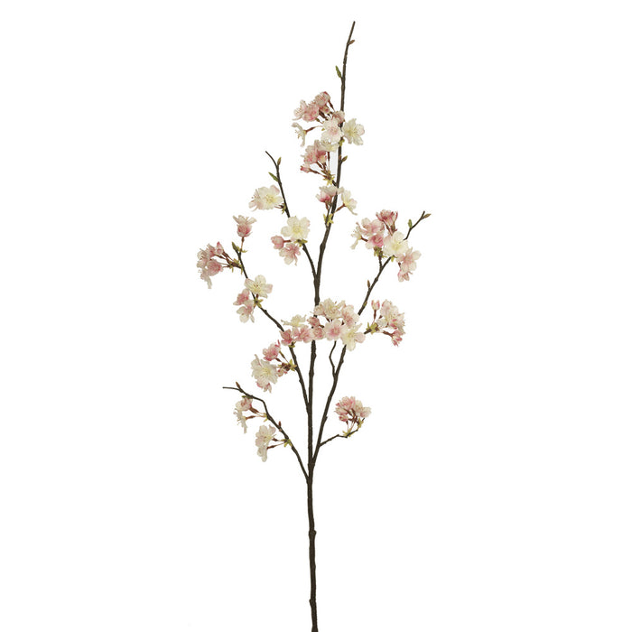 Cherry Blossom Cream Pink 105cm Pack of 12