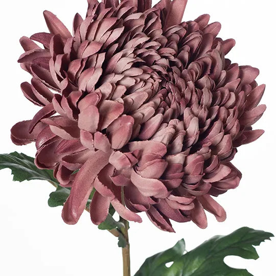 Chrysanthemum Stem 76cm Dusty Mauve Pink Pack of 12