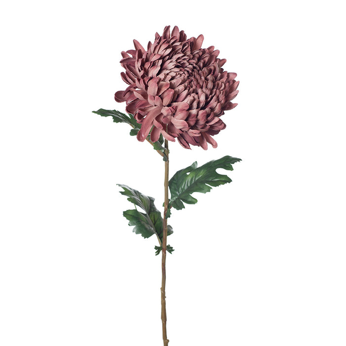 Chrysanthemum Stem 76cm Dusty Mauve Pink Pack of 12