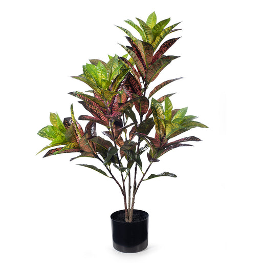 Croton Plant Green Red 88cm Pack of 2