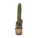 Cucumber Cactus Large 57cm Pack of 2