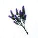 Small Artificial Lavender Stem / Wall Plant UV Resistant 26cm