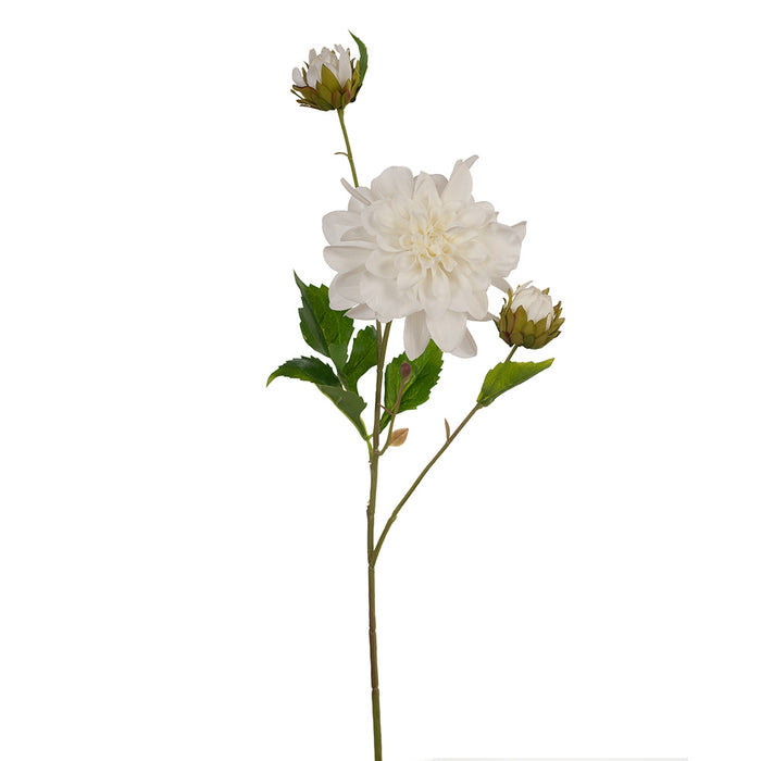 Dahlia Pompon 65cm White Pack of 12