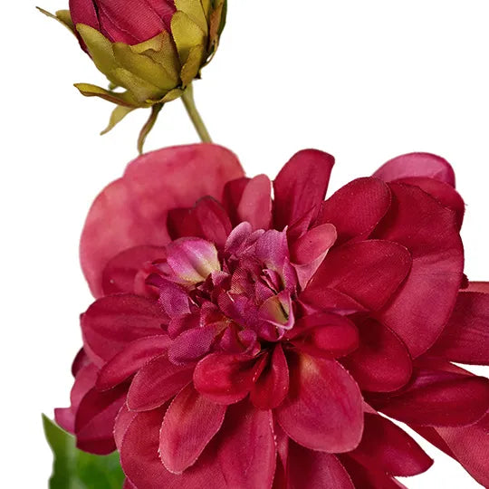 Dahlia Pompon 65cm Wine Red Pack of 12