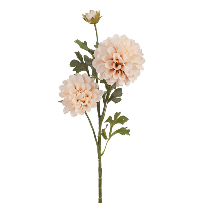 Dahlia Spray 65cm Blush Pink Pack of 12