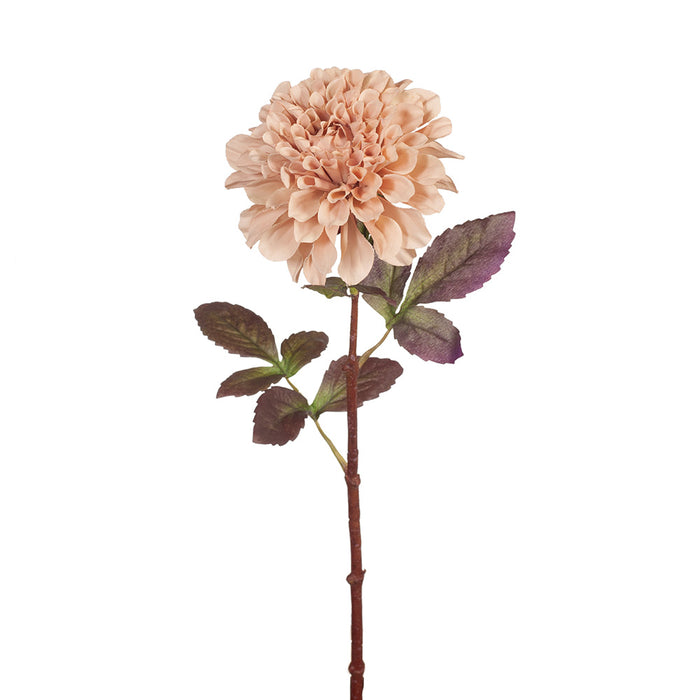 Dahlia Stem 57cm Dusty Pink Pack of 12