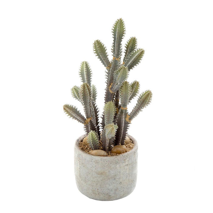 Desert Cactus In Pot 32cm Set of 2