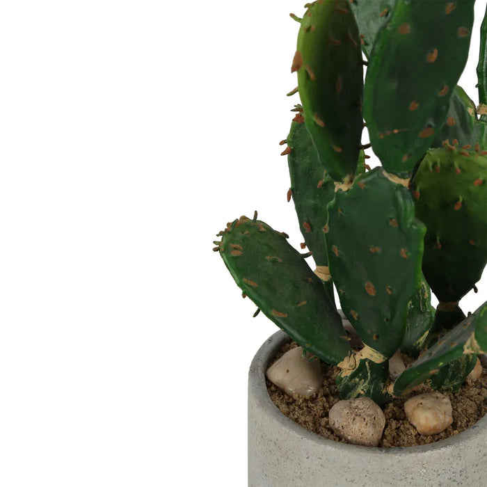 Desert Cactus in Pot 32cm Green Set of 2