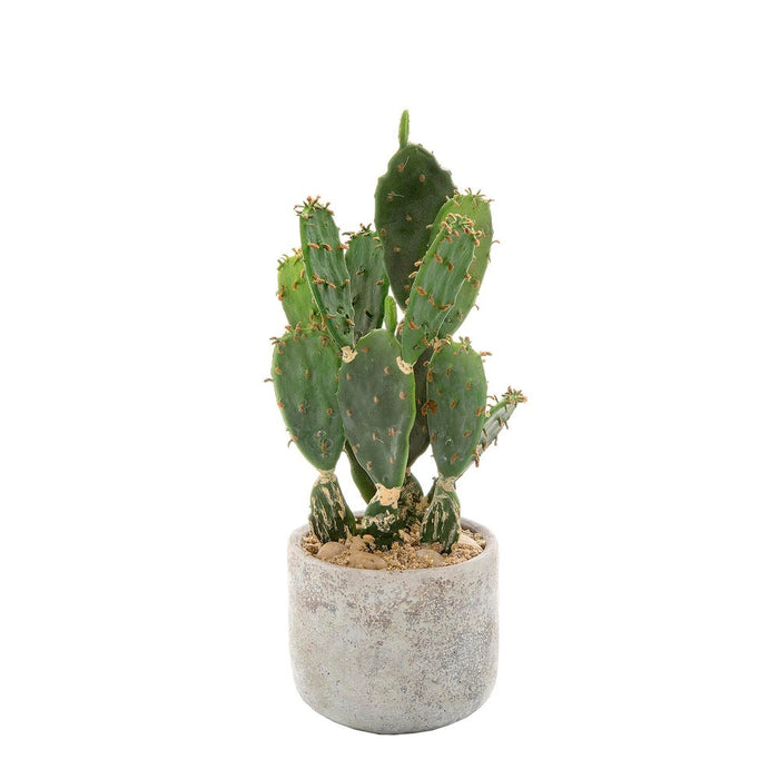 Desert Cactus in Pot 32cm Green Set of 2