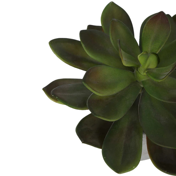 Desert Succulent Pot 20cm Green Set of 4