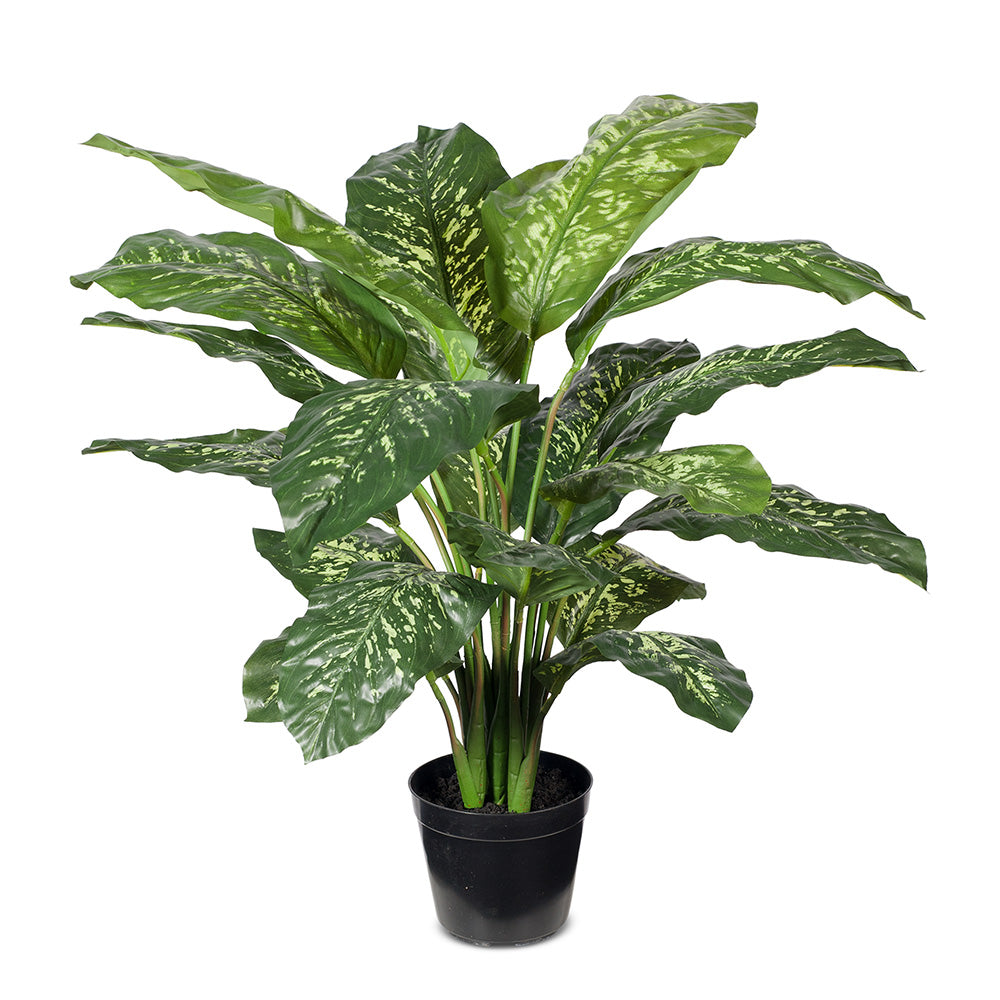 Artificial Dieffenbachia