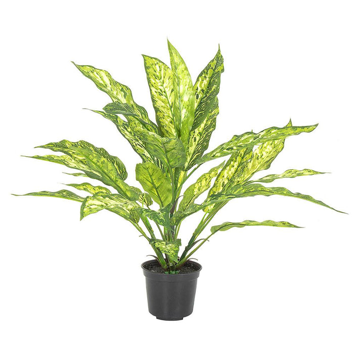 Dracaena Plant In Pot Real Touch 39cm Set of 6