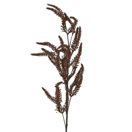 Dried Grass Frond 100cm Brown Pack of 12