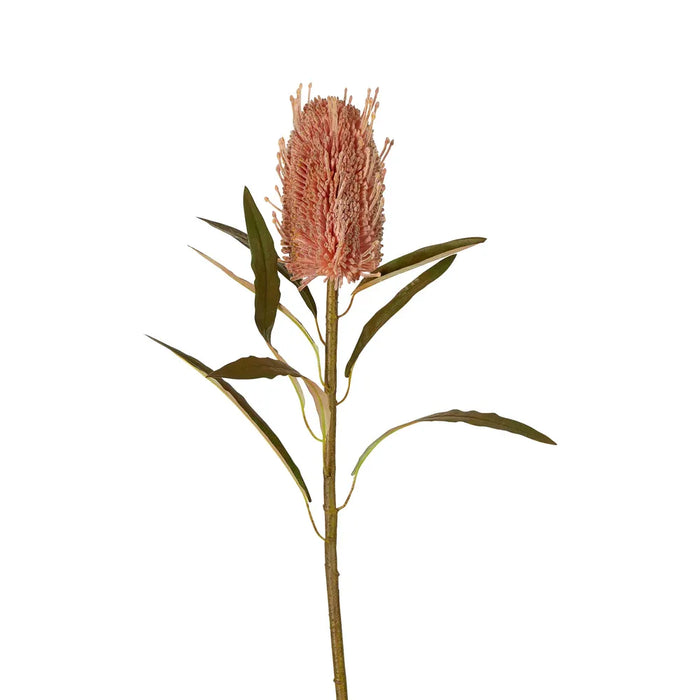 Dried Look Banksia Stem Dusty Pink 56cm Pack of 12