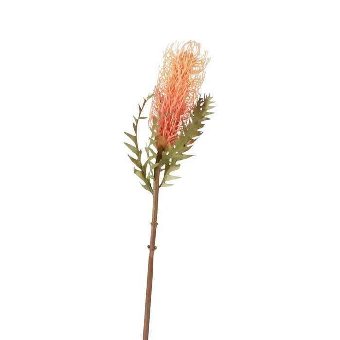 Dried Look Banksia Stem Peach Orange 75cm Pack of 12