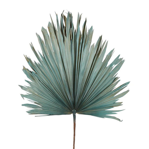 Dried Real Palm Blue Large Pack of 12