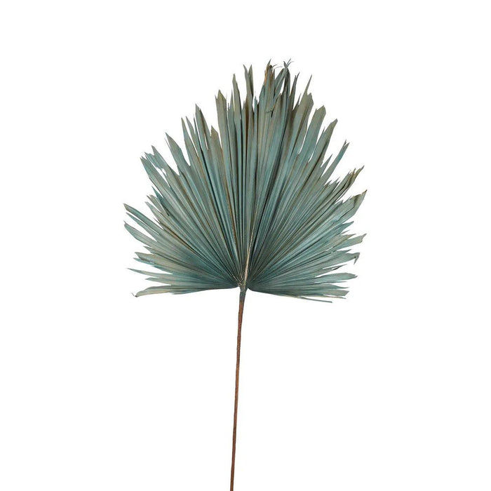 Dried Real Palm Blue Large Pack of 12