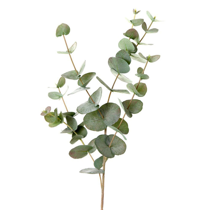 Eucalyptus Branch 86cm Pack of 12
